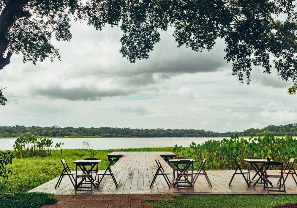 The flora of the Amazon Nature's pharmacy